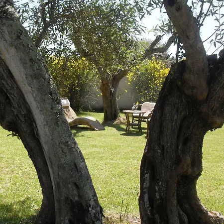 Acasamia Oristano