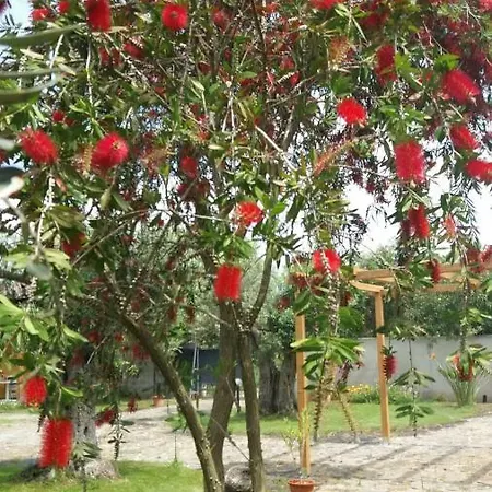 Acasamia * Oristano