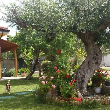 Holiday home Acasamia Oristano
