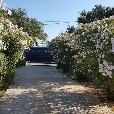 Acasamia Holiday home